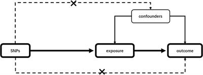 Verification of the Role of ADAMTS13 in the Cardiovascular Disease Using Two-Sample Mendelian Randomization